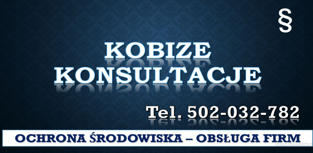 4_konsultacje_z_kobize_cena.jpg