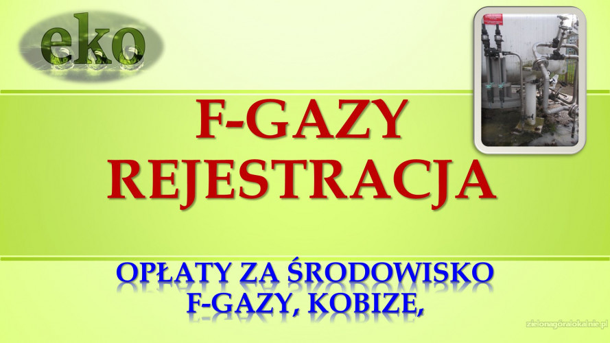 3_fgazy_obsluga_baza_danych_sprawozdan_oferta.jpg