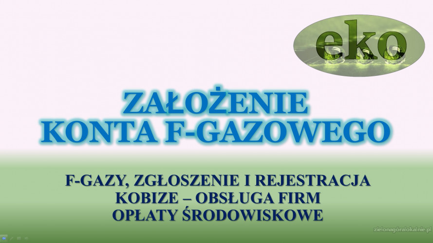 4_raport_za_fgazy_Centralny_Rejestr_Operatorow.jpg